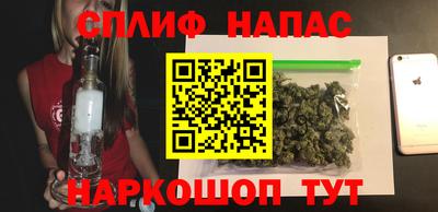 прущие грибы Донецк