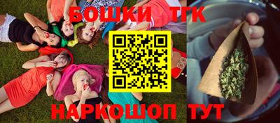 МДПВ Дубна