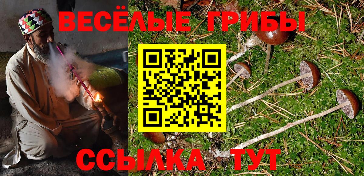 Псилоцибиновые грибы Psilocybe Медногорск